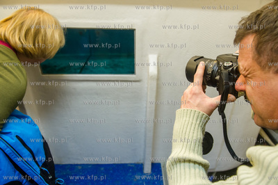 Akwarium Gdynskie. Tydzien Rekina oraz Dni Otwarte...