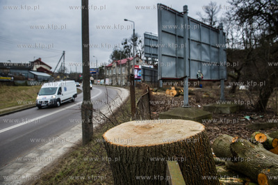 Gdańsk. Wycięte drzewa na jednej z działek przy...