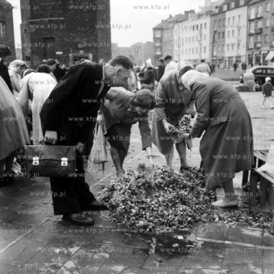 Handel kwiatami pod Halą Targową w Gdańsku. 1963...