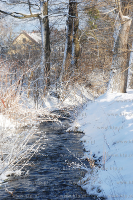 Zima w Rumi. Nz. Rzeka Zagorska Struga
27.01.2007
Fot....