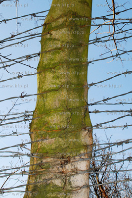 Park u zbiegu ulic Bema i Wyczolkowskiego w Gdansku....