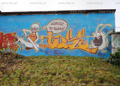 Niecenzuralne grafitti w gdanskim parku na skraju ulic...