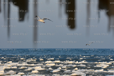 Gdynia Orlowo w zimowej szacie. Oblodzone filary orlowskiego...