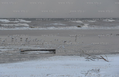 Sopot. Wichura i sniezyca w Sopocie. 05.01.2017 fot....