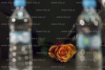 43. Festiwal Polskich Filmów Fabularnych. Spotkanie...