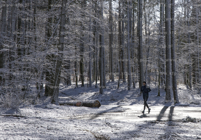 Aktywny przedpołudnie w Trójmiejskim Parku Krajobrazowym....