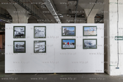 Gdańsk Stocznia. Plenum. Wystawy 4 autorów: Damian...