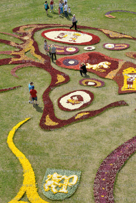 Zulawski Tulipan -  piata edycja imprezy zorganizowanej...