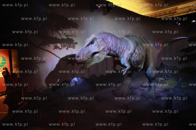 Londyn. Muzeum Historii Naturalnej.
07.10.2011
fot....