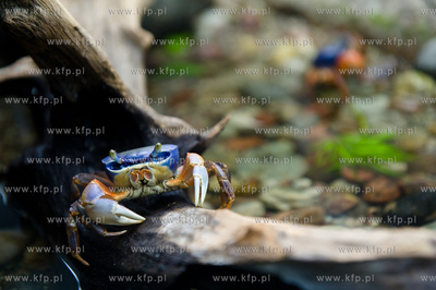 Sopot. Budynek dawnego klubu nocnego Enzym. Nowo otwarte...