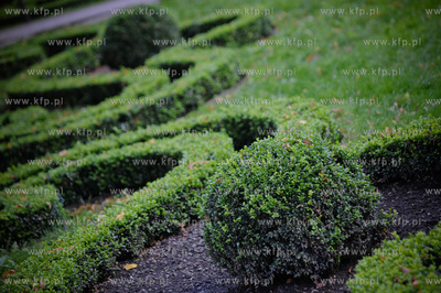Slupsk. Park przy ulicy Wojska Polskiego.
06.09.2011
fot....