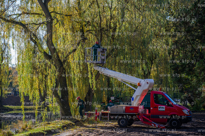 Gdansk. Jesienne, sloneczne przedpoludnie w Parku Orunskim.
Nz...