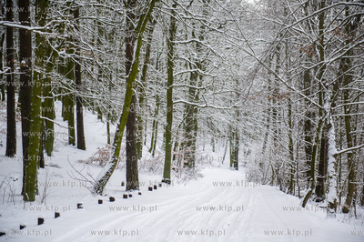 Sniezny zimowy dzien nad jeziorem Otominskim.
21.01.2016
fot....