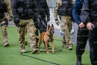 Stadion Energa Gdańsk. Ćwiczenia służb ratowniczych...