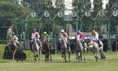 Wyscigi konne na sopockim Hipodromie. 17.07.2016 fot....