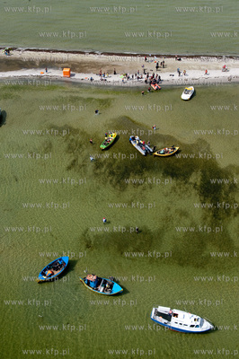 Marsz Sledzia odbywa sie Rybitwia Mielizna (Rewa Mew)...