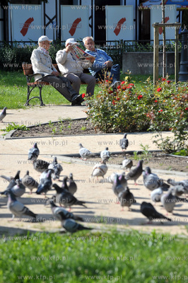 Gdansk Brzezno. Skwer w poblizu ul. Zdrojowej. 20.08.2011...