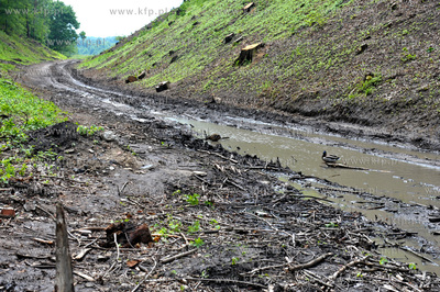 Okolioce dawnego wiaduku  trasy kolejowej Gdansk -...