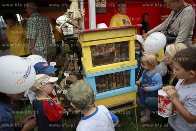 Bielkowko. VIII edycja AMBER BEER & FOOD FESTIVAL czyli...