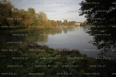 Rozlewisko Potoku Oliwskiego.
18.10.2011
fot. Krzysztof...
