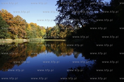 Sopot. Staw Morskie Oko.
14.10.2013
fot. Krzysztof...
