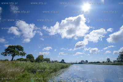 Rzeka Szkarpawa na Żuławach. 01.08.2020 fot. Paweł...