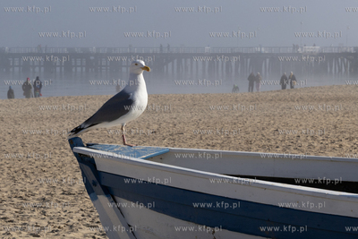 Mgliste przedpołudnie na plaży w Sopocie. 18.03.2026...