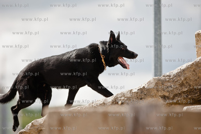 Gdansk Oliwa. Jednostka Strazy Pozarnej przy ul. Beniowskiego....