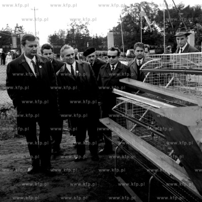 XV Krajowy Konkurs Orki na polach PGR Górki pod Kwidzynem....