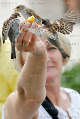Turysci karmia magdalenkami z reki ptaki na Placu Jana...
