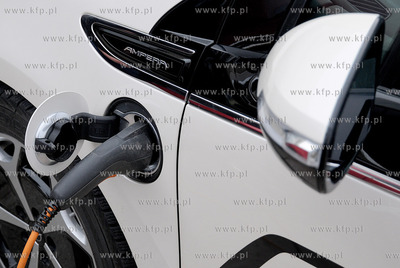 Przed Gdynskim Akwarium na Molo Poludniowym  obyla...