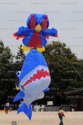 Przepiekne latawce wielkie i mniejsze krolowaly na...