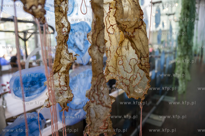 Gdynia Designe Days 2023 w Centrum Nauki Experyment.07.07.2023...