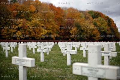 Cmentarz zolnierzy francuskich w Gdansku. 23.10.2012...