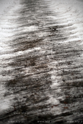 Gdansk Nowy Port. Cmentarz.
15.01.2013
fot. Krzysztof...