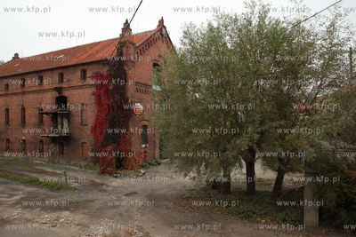 Dawna fabryka Stobbe Machandel w Nowym Dworze Gdanskim.
13.10.2013
fot....