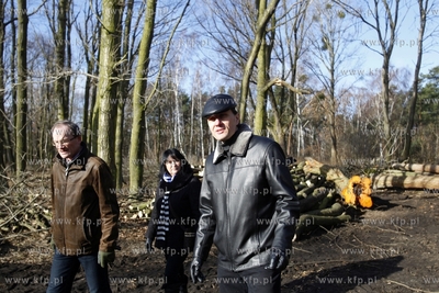 Wycinka drzew na terenie bylego Wojskowego Osrodka...