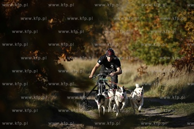 Gdańsk. Park Reagana. Pucharu Polski Psich Zaprzęgów...