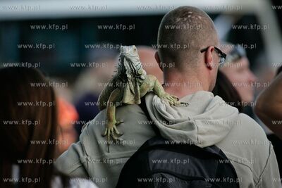 Sopot. Skwer Kuracyjny przy molo. Piknik edukacyjny...