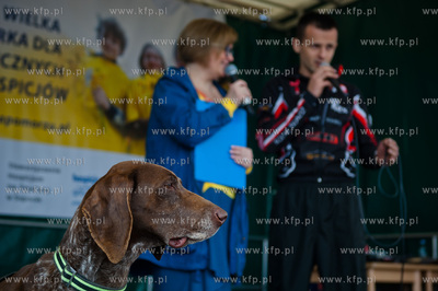 Sopot. Skwer Kuracyjny. Pola Nadziei na Pomorzu - wielka...