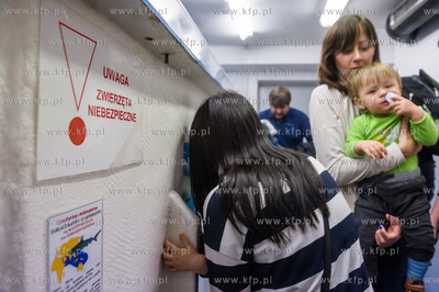 Akwarium Gdynskie. Tydzien Rekina oraz Dni Otwarte...