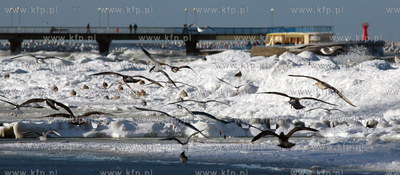 Zima w Kolobrzegu. Nz. spacer po plazy
31.01.2010
fot....