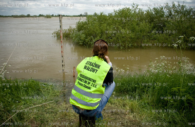 Leszkowy NZ Straznik walowy Natalia Daszewska obserwuje...