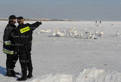 Sopot. Akcja Policji, Strazy Pozarnej i Strazy Miejskiej...