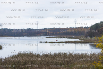 Starogard Gdański,Jezioro Kochanka10.11.2019Fot....