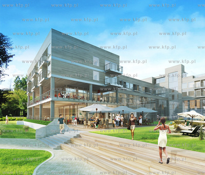 W Sopocie na ul. Bitwy pod Plowcami na wysokosci Zrodla...