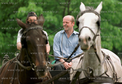 Mistrzostwa Polski Dziennikarzy w Poworzeniu Zaprzegami...