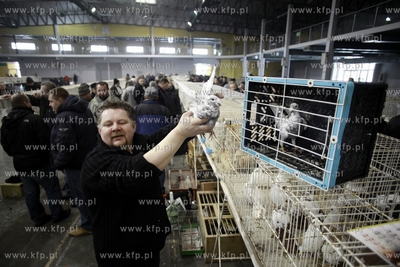 Gdansk. Międzynarodowe Targi Gdańskie. Bałtycka...