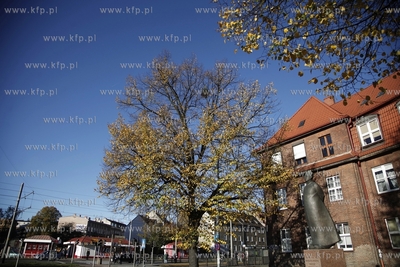 Pomnik ks. Bronislawa Komorowskiego w Gdansku Wrzeszczu.
26.10.2012
fot....