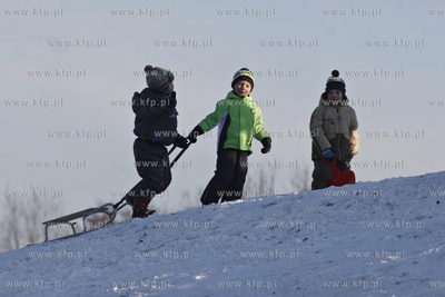 Sanki w Parku Ronalda Reagana w Gdansku.
19.01.2014
fot....